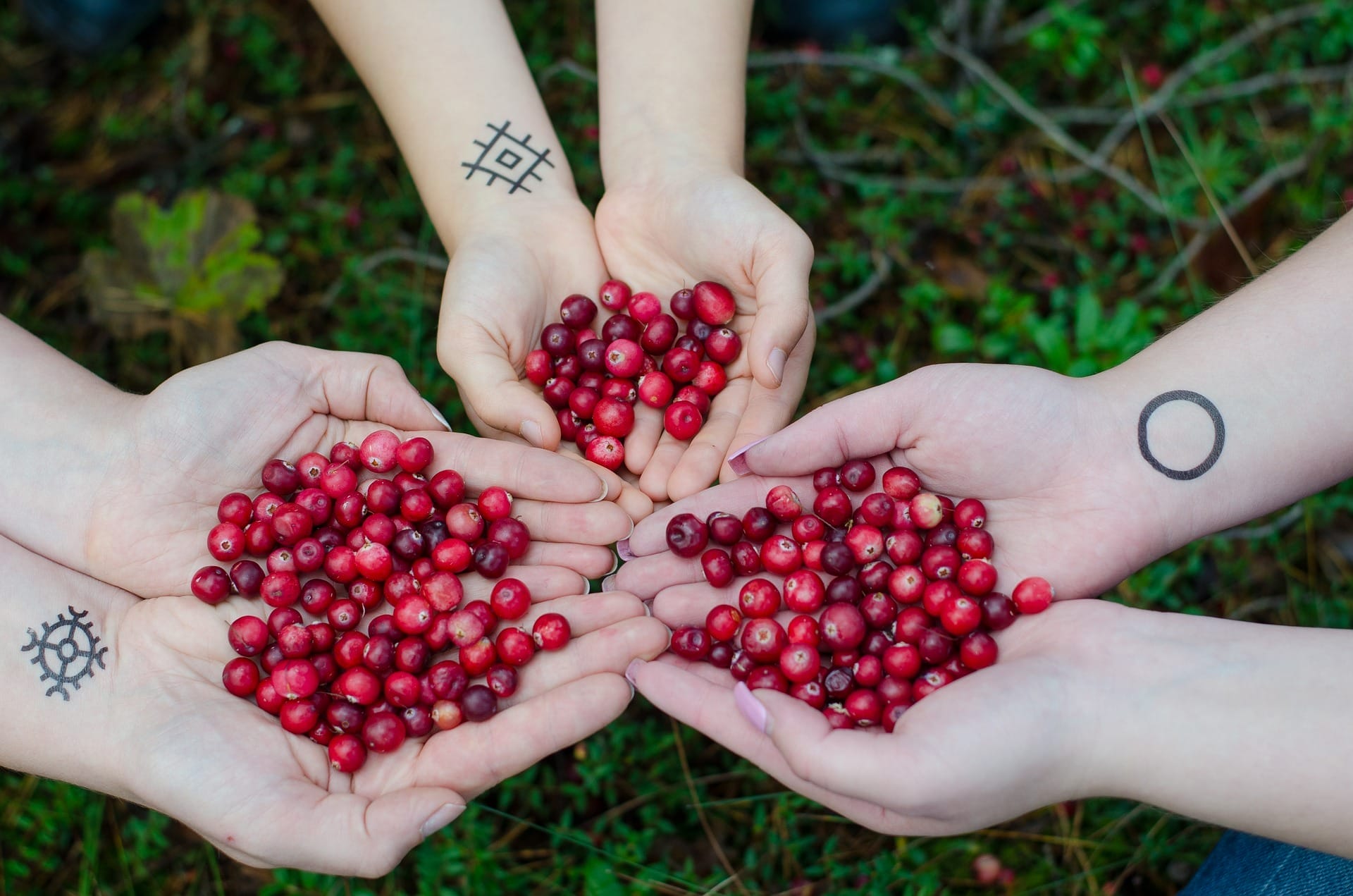 Cranberry Tegen Blaasontsteking Geen Medisch Hulpmiddel - MedicalFacts.nl