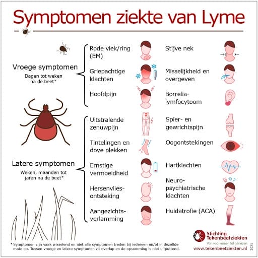 backup Dekking Dwaal Symptomen waar je op moet letten na een tekenbeet - MedicalFacts.nl
